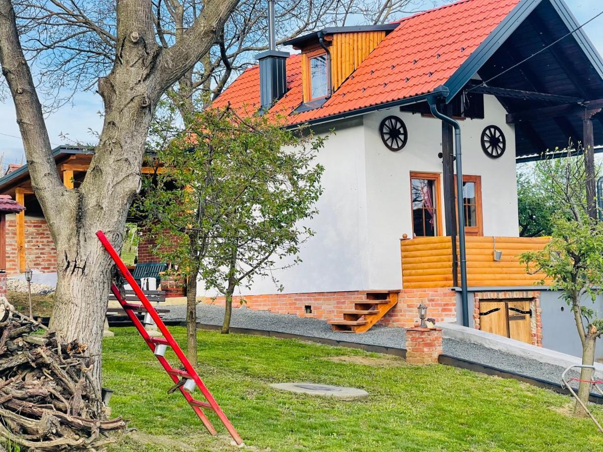 Dedina Hizica Holiday home *