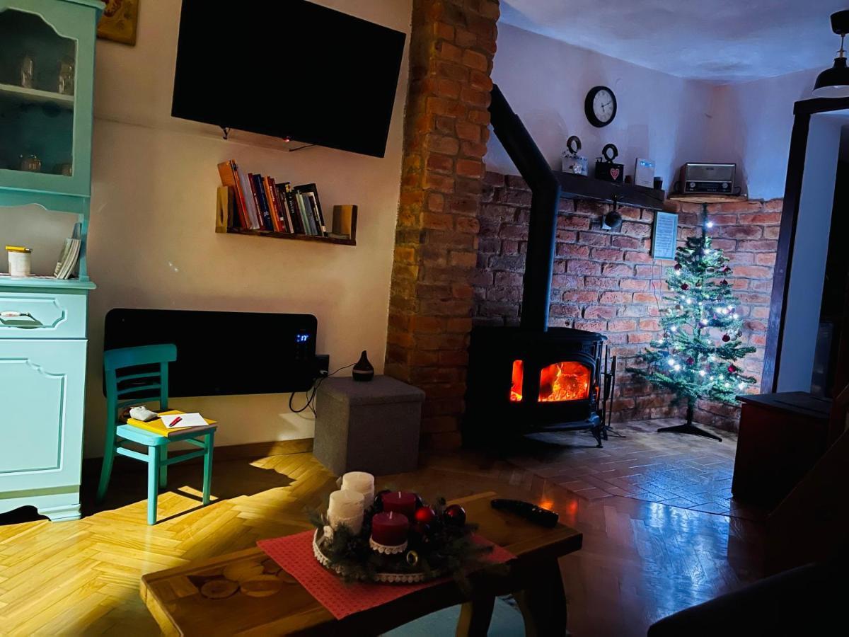 Dedina Hizica Holiday home *